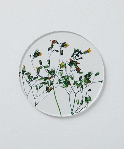 TODAY'S SPECIAL（トゥデイズスペシャル）の「【toumei】押し花 コースター/344159（ランチョンマット/テーブルウェア・レディース・ホワイト/ホワイト系その他2/その他3・FREE）」の14枚目の写真