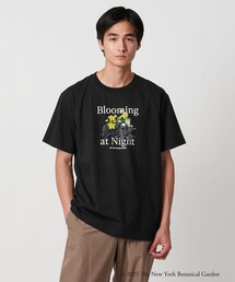 ユナイテッドアローズ　フラワートップス TOUCHU＞ POP-UP STORE - UAコラム／UA COLUMNS | ユナイテッド