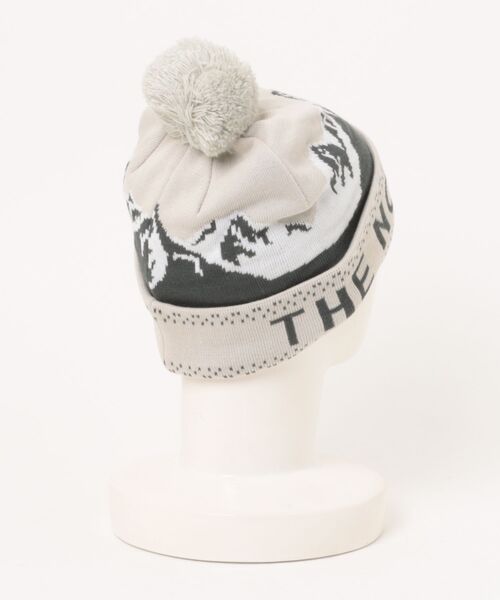 THE NORTH FACE/ザ・ノース・フェイス ビーニー SNOW BUM BEANIE 防寒