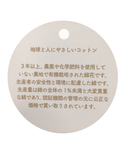 kladskap(クレードスコープ)の「ロゴ×恐竜5分袖Tシャツ(Tシャツ/カットソー・キッズ・アイボリー/レッド・130cm/120cm/100cm/90cm/110cm)」の14枚目の写真