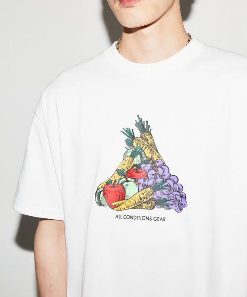 NIKE ACG（ナイキエィシージー）の「NIKE ACG SS FRUIT & VEG TEE / ナイキ エーシージー フルーツ＆ベジタブル Tシャツ 【SP】（Tシャツ/カットソー・メンズ・ホワイト・M/L/XL）」の2枚目の写真
