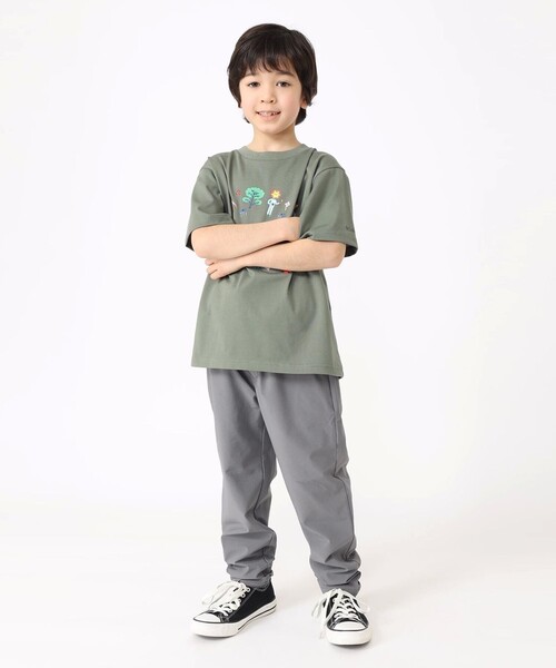 【中古】 春のとまどい/ハーパーコリンズ・ジャパン/ビリー・グリーン CONVERSE JACK PURCELL 80S 「MAROON、11H」｜SAFARI サファリ