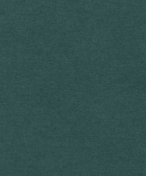 Ressaca（レサーカ）の「オーバーサイズ フラワーワンポイントロゴ刺繍 裏起毛スウェットプルオーバー（スウェット・レディース・オートミール/ネイビー/ブルー/ブラック/グリーン/グレー・M/XL/L）」の9枚目の写真