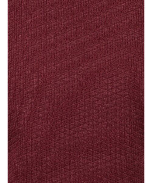 RESEXXY（リゼクシー）の「ゴールドポイントパワショルトップス（Tシャツ/カットソー・レディース・ライトグレー/レッド/ブラック・FREE）」の16枚目の写真