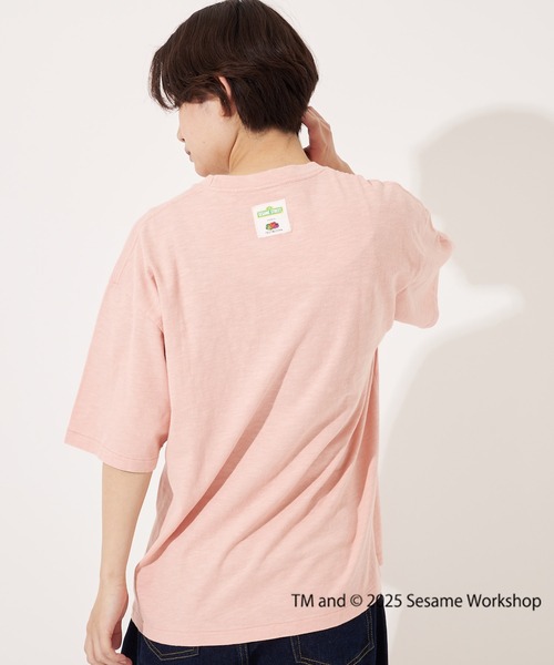 FRUIT OF THE LOOM(フルーツオブザルーム)の「【FRUIT OF THE LOOM】SESAME STREET×FTL フォトTシャツ B/セサミストリート コラボ(Tシャツ/カットソー・メンズ・ピンク/オフホワイト/チャコール・L/M/S)」の12枚目の写真