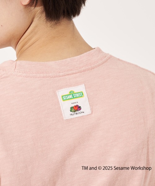FRUIT OF THE LOOM(フルーツオブザルーム)の「【FRUIT OF THE LOOM】SESAME STREET×FTL フォトTシャツ B/セサミストリート コラボ(Tシャツ/カットソー・メンズ・ピンク/オフホワイト/チャコール・L/M/S)」の13枚目の写真