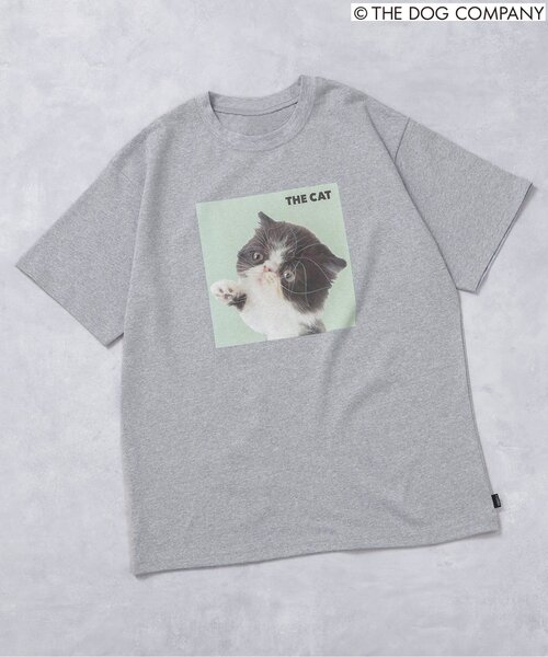 F.O.KIDS(エフオーキッズ)の「【THE DOG】バリエーションTシャツ(オトナ)(Tシャツ/カットソー・レディース・ブラック/カーキ/グレー/オフホワイト・LARGE/MEDIUM)」の3枚目の写真