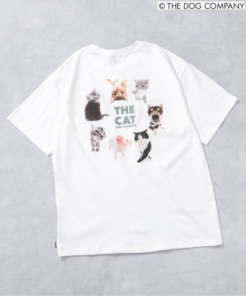F.O.KIDS(エフオーキッズ)の「【THE DOG】バリエーションTシャツ(オトナ)(Tシャツ/カットソー・レディース・ブラック/カーキ/グレー/オフホワイト・LARGE/MEDIUM)」の4枚目の写真