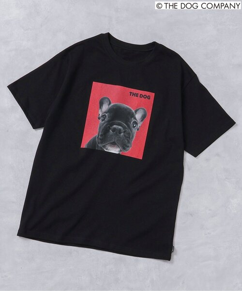 セール】【THE DOG】バリエーションTシャツ（オトナ）（Tシャツ