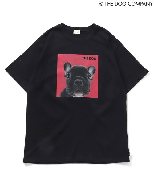 F.O.KIDS(エフオーキッズ)の「【THE DOG】バリエーションTシャツ(オトナ)(Tシャツ/カットソー・レディース・ブラック/カーキ/グレー/オフホワイト・LARGE/MEDIUM)」の22枚目の写真