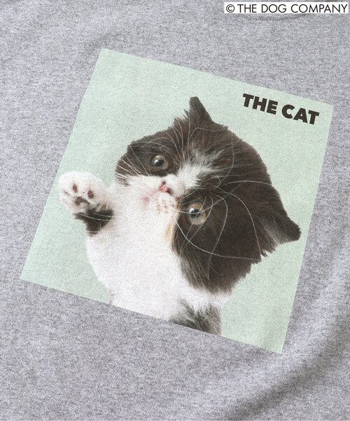 F.O.KIDS(エフオーキッズ)の「【THE DOG】バリエーションTシャツ(オトナ)(Tシャツ/カットソー・レディース・ブラック/カーキ/グレー/オフホワイト・LARGE/MEDIUM)」の19枚目の写真