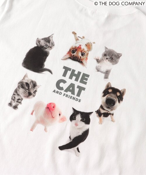 F.O.KIDS(エフオーキッズ)の「【THE DOG】バリエーションTシャツ(オトナ)(Tシャツ/カットソー・レディース・ブラック/カーキ/グレー/オフホワイト・LARGE/MEDIUM)」の15枚目の写真