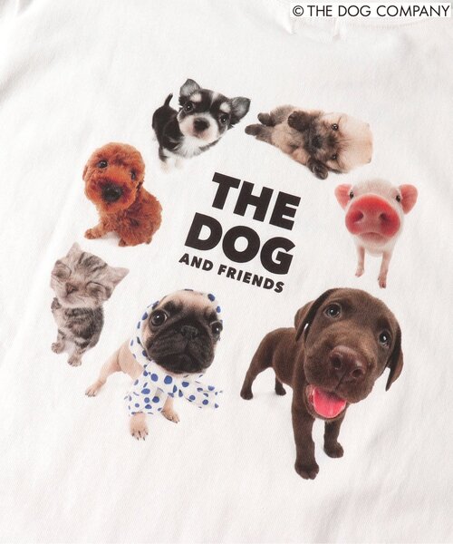 F.O.KIDS(エフオーキッズ)の「【THE DOG】バリエーションTシャツ(オトナ)(Tシャツ/カットソー・レディース・ブラック/カーキ/グレー/オフホワイト・LARGE/MEDIUM)」の13枚目の写真