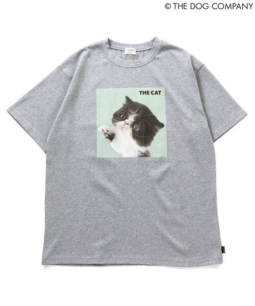 F.O.KIDS(エフオーキッズ)の「【THE DOG】バリエーションTシャツ(オトナ)(Tシャツ/カットソー・レディース・ブラック/カーキ/グレー/オフホワイト・LARGE/MEDIUM)」の12枚目の写真