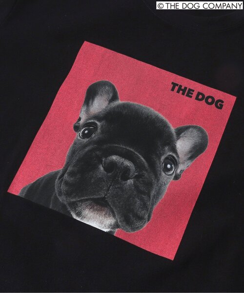 Tシャツ・カットソー [ODOR] Holly dog tee セール】【THE DOG】バリエーションTシャツ（オトナ）（Tシャツ