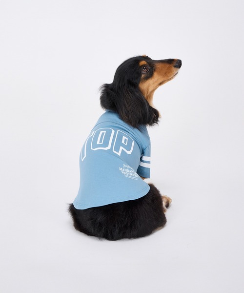 MANDARINE BROTHERS(マンダリンブラザーズ)の「【通年/防虫】ロングスリーブTシャツ/小型犬/M/MD/L(ペットウェア・レディース・ライトベージュ/ブルー/チャコール・L/MD/M)」の3枚目の写真