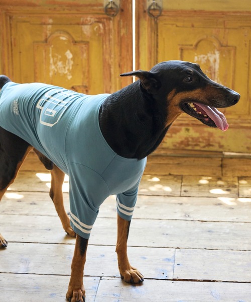 MANDARINE BROTHERS(マンダリンブラザーズ)の「【通年/防虫】ロングスリーブTシャツ/小型犬/M/MD/L(ペットウェア・レディース・ライトベージュ/ブルー/チャコール・L/MD/M)」の11枚目の写真