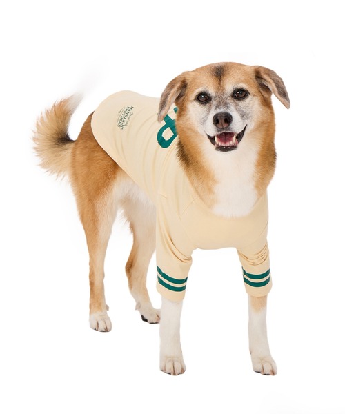 MANDARINE BROTHERS(マンダリンブラザーズ)の「【通年/防虫】ロングスリーブTシャツ/小型犬/M/MD/L(ペットウェア・レディース・ライトベージュ/ブルー/チャコール・L/MD/M)」の8枚目の写真