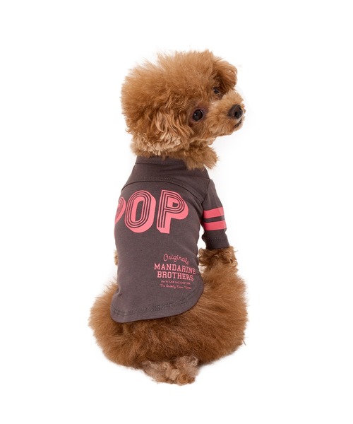 MANDARINE BROTHERS(マンダリンブラザーズ)の「【通年/防虫】ロングスリーブTシャツ/小型犬/M/MD/L(ペットウェア・レディース・ライトベージュ/ブルー/チャコール・L/MD/M)」の9枚目の写真