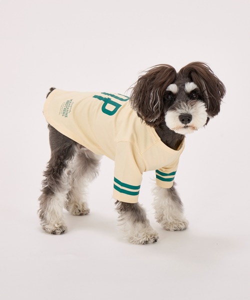 MANDARINE BROTHERS(マンダリンブラザーズ)の「【通年/防虫】ロングスリーブTシャツ/小型犬/M/MD/L(ペットウェア・レディース・ライトベージュ/ブルー/チャコール・L/MD/M)」の5枚目の写真