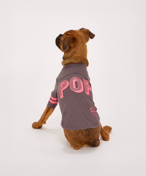 MANDARINE BROTHERS(マンダリンブラザーズ)の「【通年/防虫】ロングスリーブTシャツ/小型犬/M/MD/L(ペットウェア・レディース・ライトベージュ/ブルー/チャコール・L/MD/M)」の4枚目の写真