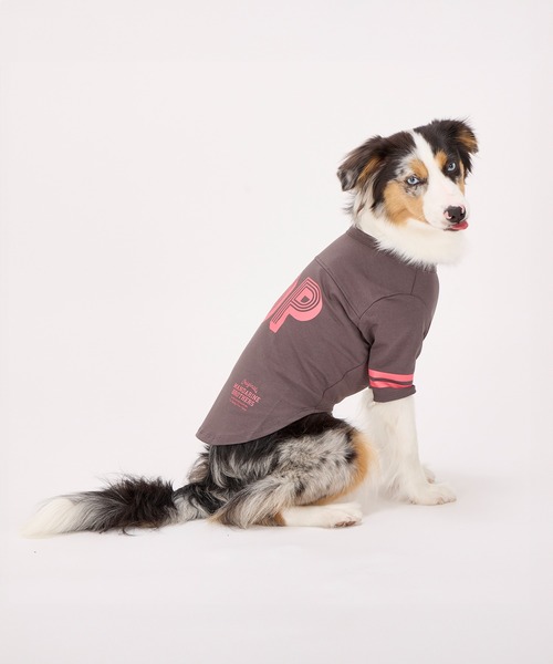MANDARINE BROTHERS(マンダリンブラザーズ)の「【通年/防虫】ロングスリーブTシャツ/小型犬/M/MD/L(ペットウェア・レディース・ライトベージュ/ブルー/チャコール・L/MD/M)」の7枚目の写真