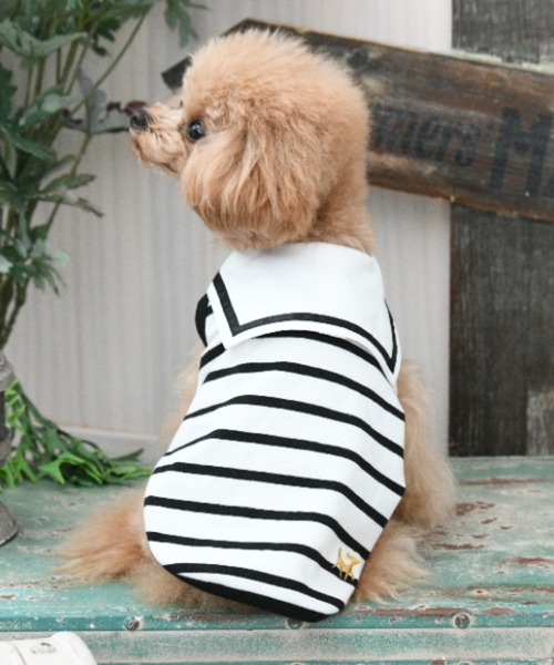 ROPE' PICNIC(ロペピクニック)の「ROPE' PICNIC/セーラーカラーボーダーカットソー(ペットウェア・レディース・ブラック/ブラウン・2M/2L/L/M/S/XS/2XS)」の2枚目の写真