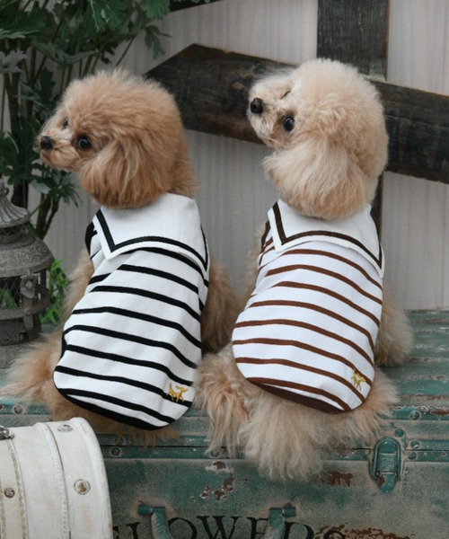 ROPE' PICNIC(ロペピクニック)の「ROPE' PICNIC/セーラーカラーボーダーカットソー(ペットウェア・レディース・ブラック/ブラウン・2M/2L/L/M/S/XS/2XS)」の3枚目の写真