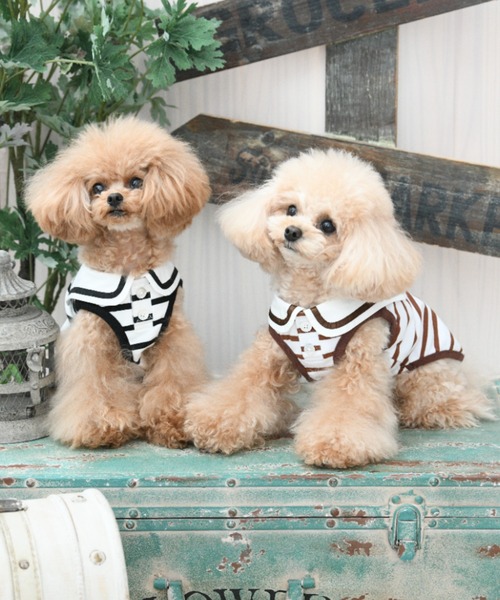 ROPE' PICNIC(ロペピクニック)の「ROPE' PICNIC/セーラーカラーボーダーカットソー(ペットウェア・レディース・ブラック/ブラウン・2M/2L/L/M/S/XS/2XS)」の4枚目の写真