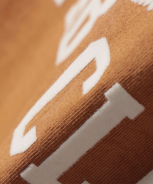 MIXTA(ミクスタ)の「Mixta:〈洗濯機可能〉MIXTIGER プリント TEE(Tシャツ/カットソー・レディース・グレー/チャコールグレー/ナチュラル/キャメル・ONE SIZE)」の19枚目の写真