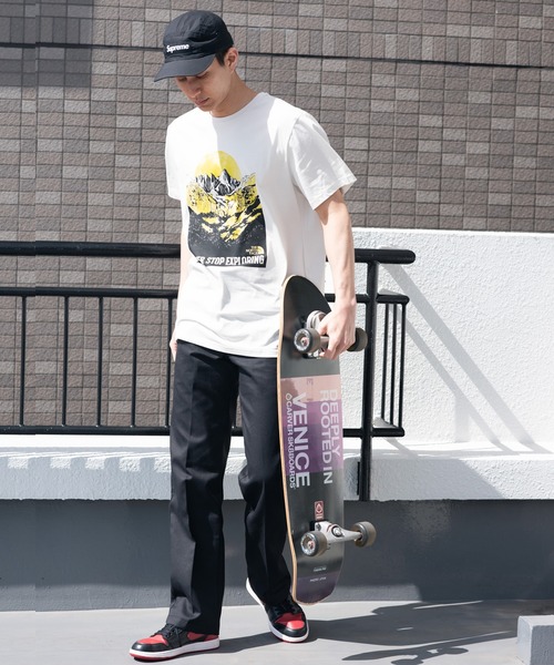 THE NORTH FACE(ザノースフェイス)の「THE NORTH FACE ナチュラルワンダーズTシャツ(Tシャツ/カットソー・メンズ・ホワイト・SMALL/MEDIUM/LARGE)」の11枚目の写真