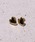 LHMEiGGC`GC[j́uyWEBzgMomenthX[Xn[gsAX/T[WJXeXiAM[ΉjyLHME / GGC`GC[zisAXipjjvbS[h