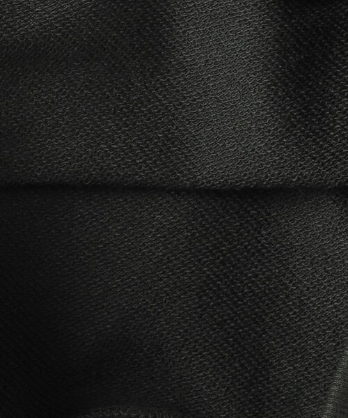 green label relaxing（グリーンレーベルリラクシング）の「【別注】＜SESAME STREET＞ 裏毛 プルオーバー / キッズ  100cm-130cm（スウェット・キッズ・ライトグレー/レッド/ダークグレー・130cm/100cm/110cm/120cm）」の19枚目の写真