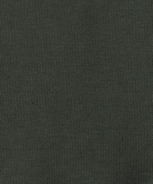 green label relaxing（グリーンレーベルリラクシング）の「【別注】＜SESAME STREET＞ 裏毛 プルオーバー / キッズ  100cm-130cm（スウェット・キッズ・ライトグレー/レッド/ダークグレー・130cm/100cm/110cm/120cm）」の20枚目の写真