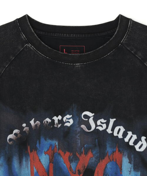 DANKE SCHON（ダンケシェーン）の「DankeSchon/ダンケシェーン/CHEMICAL RAGLAN LST RIKERS（Tシャツ/カットソー・メンズ・ブラック・M/L）」の3枚目の写真