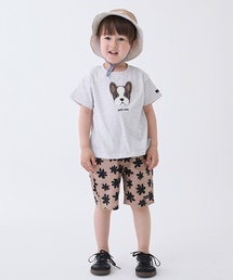 petit main(�v�e�B�}�C��)�̕z��A�\�[�g���n�[�t�p���c(���̑��p���c)