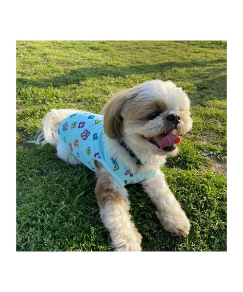 セール Maite By Mark Gonzales Fruits Tarte ポリエステルメッシュタンクトップ 犬服 ドッグウェア ペットウェア Mark Gonzales マーク ゴンザレス のファッション通販 Zozotown