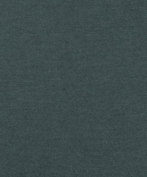 Ressaca(レサーカ)の「裏起毛スウェットプルオーバー イーグルグラフィックプリント オーバーサイズ(スウェット・レディース・グレー/ブラック/グリーン/ネイビー/オートミール・L/XL/M)」の14枚目の写真