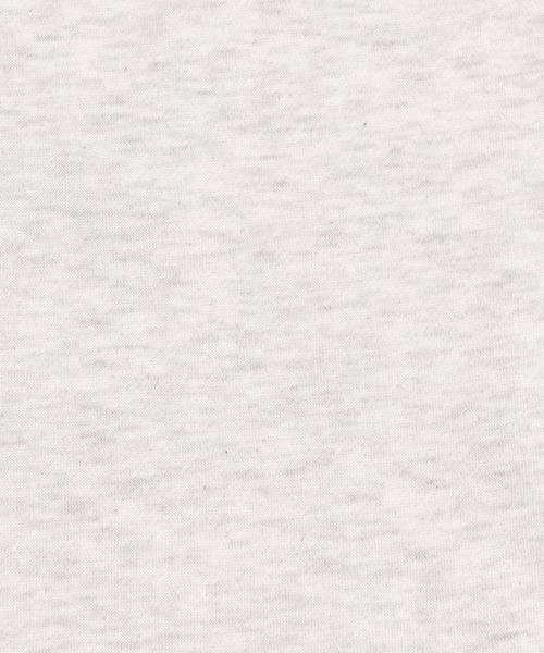 Ressaca(レサーカ)の「裏起毛スウェットプルオーバー イーグルグラフィックプリント オーバーサイズ(スウェット・レディース・グレー/ブラック/グリーン/ネイビー/オートミール・L/XL/M)」の13枚目の写真