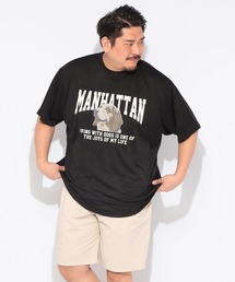 PIMLICO（ピムリコ）の「PIMLICO ピムリコ 半袖 プリント Tシャツ DRY メッシュ クルーネック 大きいサイズ メンズ（Tシャツ/カットソー）」