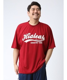 PIMLICO ピムリコ 半袖 プリント Tシャツ DRY メッシュ クルーネック 大きいサイズ メンズ