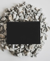 【別注】HAAL / Card Case