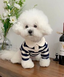 aimoha（アイモハ）の「ボーダー襟付きニット風ペットウェア（ペットウェア）」