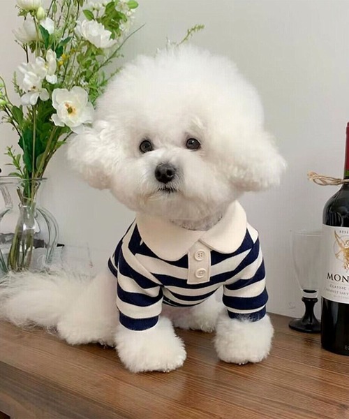 aimoha（アイモハ）の「ボーダー襟付きニット風ペットウェア（ペットウェア・レディース・ピンク/レッド/ネイビー・LARGE/MEDIUM/SMALL/X-LARGE）」の2枚目の写真