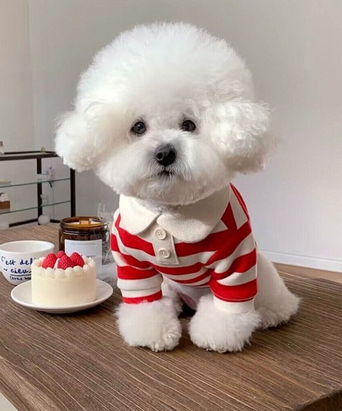 aimoha（アイモハ）の「ボーダー襟付きニット風ペットウェア（ペットウェア・レディース・ピンク/レッド/ネイビー・LARGE/MEDIUM/SMALL/X-LARGE）」の3枚目の写真