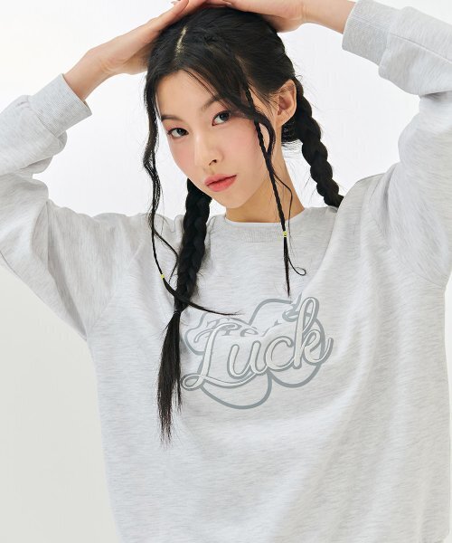 CHASECULT(チェイスカルト)の「レディースポイント刺繍スウェットシャツ-DARG5161B0B(スウェット・レディース・ライトグレー・90/85)」の2枚目の写真