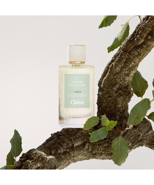 クロエ アトリエ デ フルール シェーヌ オードパルファム 150mL（香水