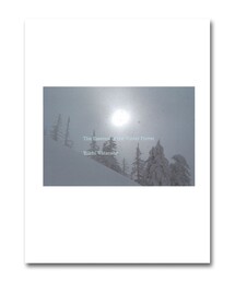 TOKYO CULTUART by BEAMS（トウキョウカルチャートバイビームス）の「渡辺洋一 / 雪 The Essence of the Winter Forest 森（本・レディース）」