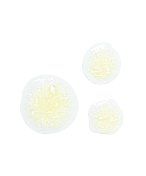 L'OCCITANE（ロクシタン）の「シトラスヴァーベナ ハイドレーティングボディスプレー 150mL（ボディケア/ボディクリーム・レディース・その他・FREE）」の3枚目の写真