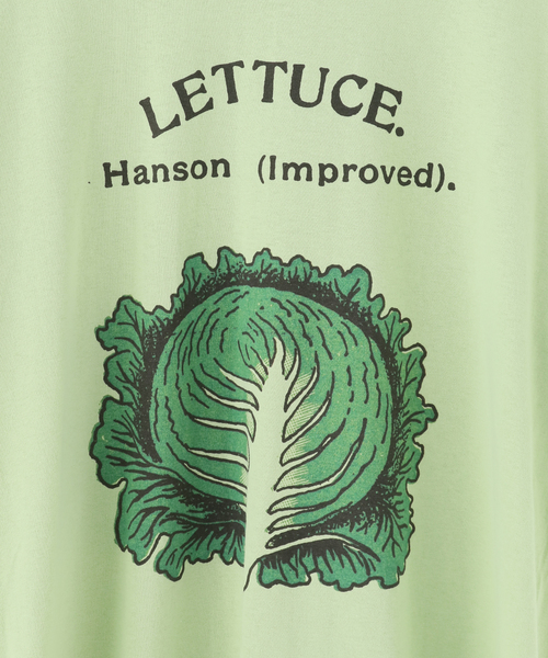 Niche. /ニッチ】Vegetable T-Shirts-lettuce（Tシャツ